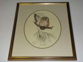 Vintage Guy Coheleach Saw Whet Owl Print, Signed  