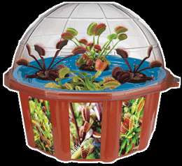 Hydroponic Venus Fly Trap Flytrap Terrarium Grow Kit  
