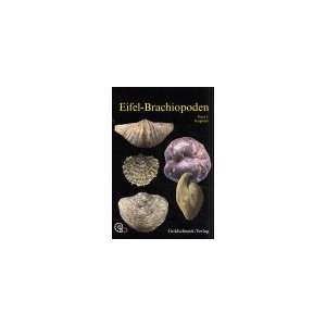 Eifel Brachiopoden. Beschreibung der aus dem Mitteldevon der Eifel 