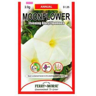 Ferry Morse Moonflower (Evening Glory) Seed 8043  