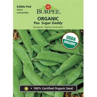 Burpee Pea Organic Sugar Daddy Seed 60689 