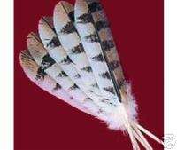 Hand painted turkey reproduction Owl Feathers Crafts  