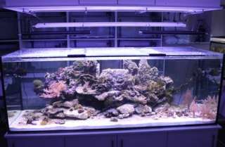 Meerwasser LED Leuchte von 50   168 Watt   Aquariumleuchte in 