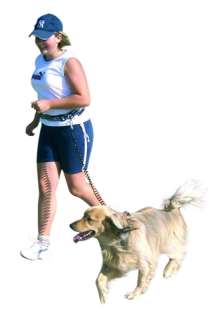 Spiralleine Joggingleine Hund Hundeleine Jogging Leine  