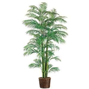 Areca Palm in Willow Basket 