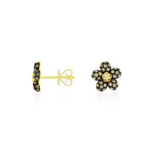   Ladies Champagne & White Diamond Earring in 14k Yellow Gold. Jewelry