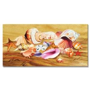 24 Sea Shell Collection Velour Beach Towels 30 X 60 Inch  