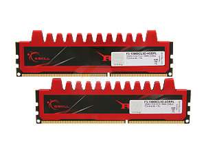 SKILL Ripjaws Series 4GB (2 x 2GB) 240 Pin DDR3 SDRAM DDR3 1333 (PC3 