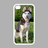 HUSKY DOG COVER CASE FOR APPLE IPHONE 4 MOBILE PHONE  
