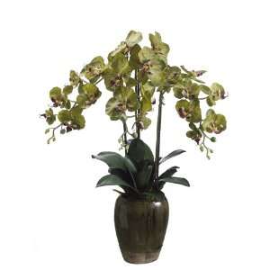  Artificial Green Phalaenopsis Orchid Silk Flower Plants 32 Home