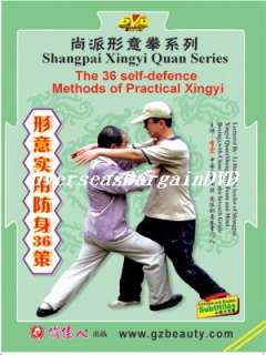 Learn Xin Yi Martial Art(1/2)Xinyi 36 Form Self Defense  
