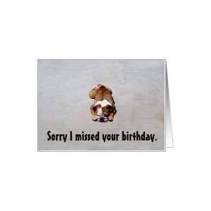  Bulldog Belated Birthday Wishes Card Health & Personal 