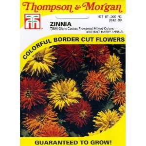  3363 Zinnia Giant Cactus Mixed Seed Packet Patio, Lawn & Garden