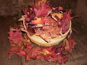 Fall Leaves FALL WEDDING COLOR Natural Real Dried Curl  