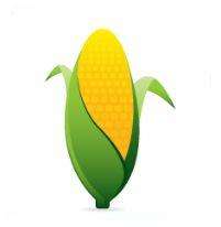 Sprout Unisex ST3000BKBKBK Eco Friendly Corn Resin and Black Organic 