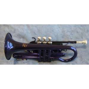  Jollysun Purple Cornet Musical Instruments