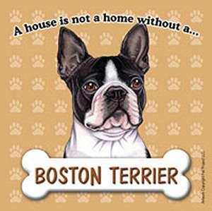 Boston Terrier Dog Magnet Sign House Is Not A Home  