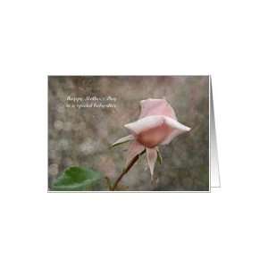  Mothers Day   Babysitter   Pink Rose Bud Card Health 
