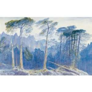 FRAMED oil paintings   Edward Lear   24 x 24 inches   The Pine Forest 