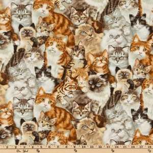  44 Wide Petpourri Kittens Multi Fabric By The Yard Arts 