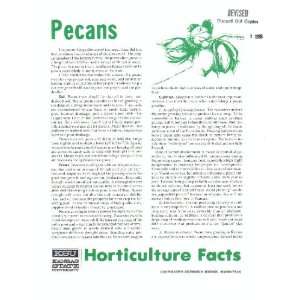    Pecans (Horticulture Facts) Frank D. Morrison, William Reid Books