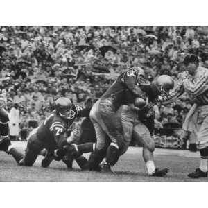  Navys Prize Halfback Joe Bellino Dragging Tacklers in a 