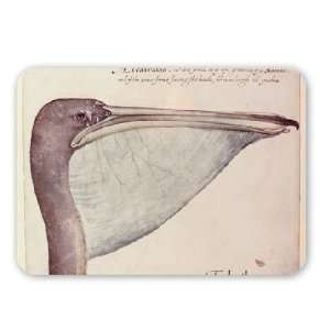  Pelican, c.1590 (w/c on paper) by John White   Mouse Mat 