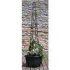 Mini Pot Obelisk For Climing Plants