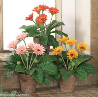 ONE RAZ IMPORTS 12 SPRING FLORAL POTTED PINK GERBERA DAISY  