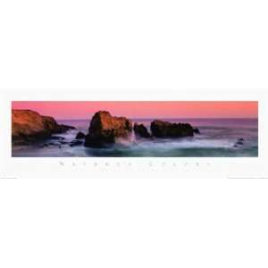  Natures Colors Big Sur By Wayne Williams Highest Quality 