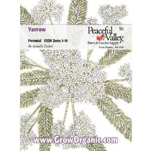  Yarrow Seed Pack, White Patio, Lawn & Garden