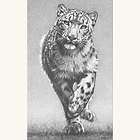   Signed Print Big Cat Pencil Drawing Sketch B/W Picture Snow Leopard