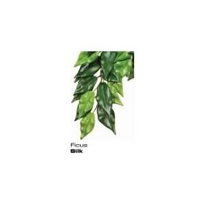  Exo Terra Hanging Silk Plant Ficus   Medium