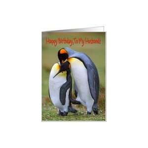  Happy Birthday to My Husband greeting card,penguins in 