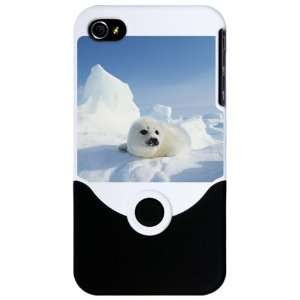    iPhone 4 or 4S Slider Case White Harp Seal 