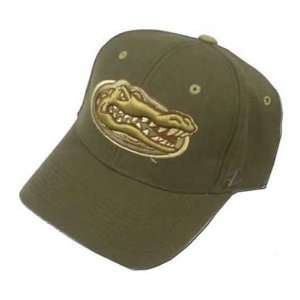   Florida Gators DHS Coffee W/Gator Head Fitted Hat