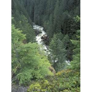  Nooksack River View, Mt. Baker National Forest, Washington 