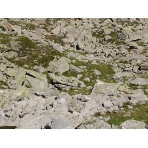  Landscape Strewn About with Stones and Boulders in France 