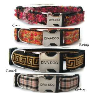  Collars, Leashes & Harnesses