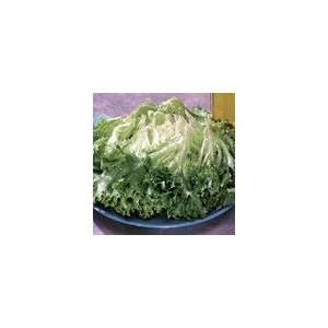  Lettuce Multigreen 3 Seeds Patio, Lawn & Garden