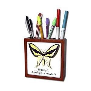   Butterfly   Tile Pen Holders 5 inch tile pen holder