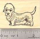 dandie dinmont terrier dog rubber stamp scottish dog b $ 14 95 listed 