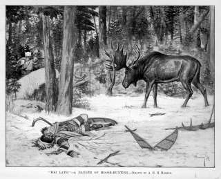 HUNTING MOOSE ON SNOWSHOES, GORED, KILLED BY BULL MOOSE  
