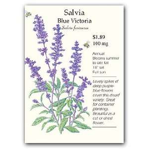  Salvia Blue Victoria Seed Patio, Lawn & Garden