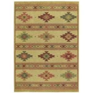 Shaw Rug Origins Collection Painted Desert Pattern 2 2 X 3 3