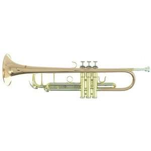  Wurzbach Bb Student Trumpet with Case, Mouthpiece Musical 