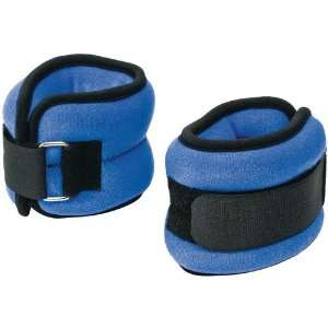   WII FIT ANKLE & WRIST WEIGHTS (VIDEO GAME ACCESS) Electronics